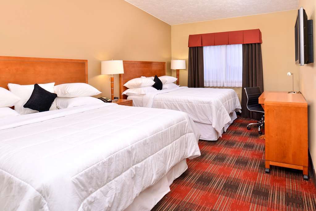 Quality Inn & Suites Airport Spokane Room photo